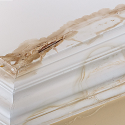 Emergency Plumbing Services