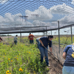 Laws and Regulations