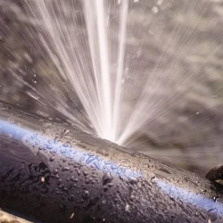 Water Mitigation