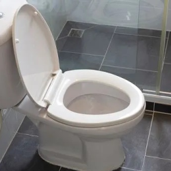 Sewage Cleanup