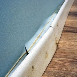 Structural Drying
