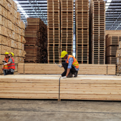 Specialty High Grade Structural Lumber