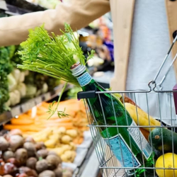 Grocery Shopping and Meal Preparation