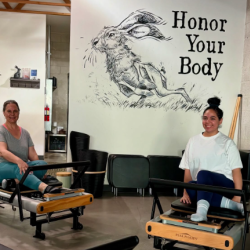 Free Orientation Classes