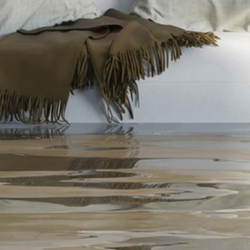 Flood Clean Up/Restoration