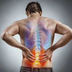 Spinal Cord Injuries