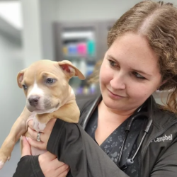 Wellness & Prevention