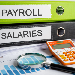 Payroll Services