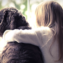 Burglar Alarms Systems