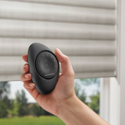 Motorization
