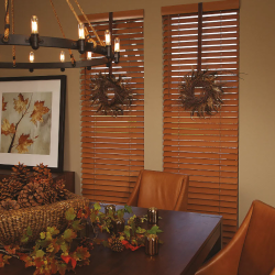 Blinds & Shutters