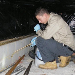 Integrated Pest Management