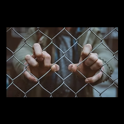 Federal Crimmigration