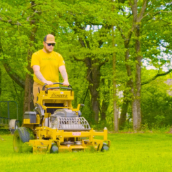 Lewes Lawn Care Service
