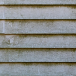 Siding Replacement