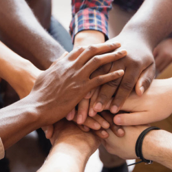 Pregnant and Parenting Families