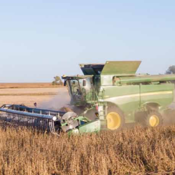 Interview and References