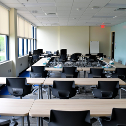 Workshops & Facilitation