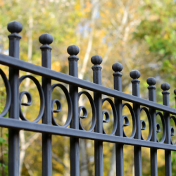 Wrought Iron Fencing