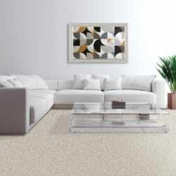 Carpet