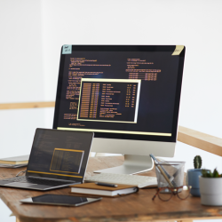 Web Design and Development