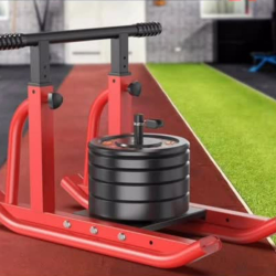 Customized Fitness Plans