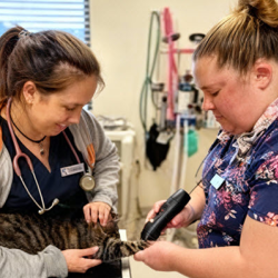 Walk-Ins and Emergencies