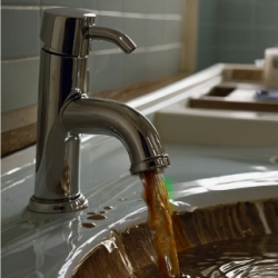 Sewage Backup