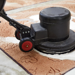 Area Rug Cleaning