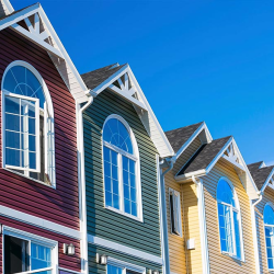 Vinyl Siding Repair & Window Casing Restoration