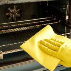 Green Cleaning Products