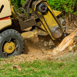 Stump Grinding