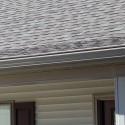 Gutters and Leaf Guards