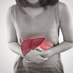 Gallbladder
