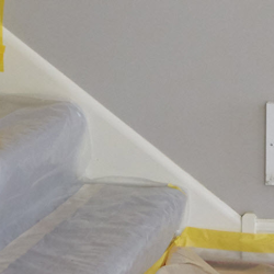 Mold Removal & Inspection