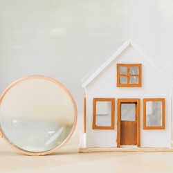 One-Year Warranty Inspection