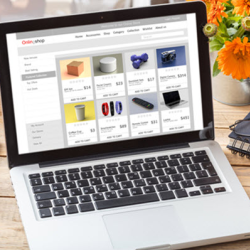 Custom Website Projects