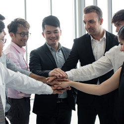 Team Performance & Dynamics Development