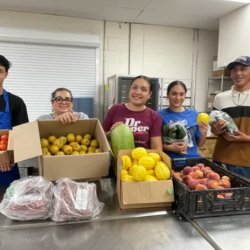 Cochise Farm 2 School
