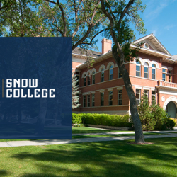 Visitors & Community