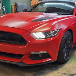 Vehicle Wraps