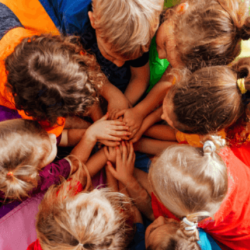 Shake A Tail Feather Curriculum®