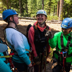 Packaged & Group Travel