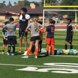 Economic and Social Impact