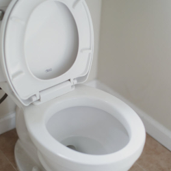 Toilet Installation