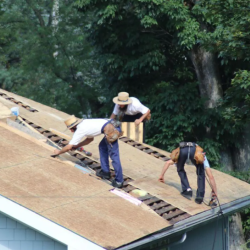 Roof Installation
