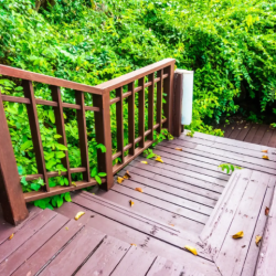 Deck and Fence Painting