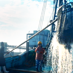 Marine Business