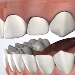 Oral Surgeon