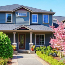 Professional Roof Installation